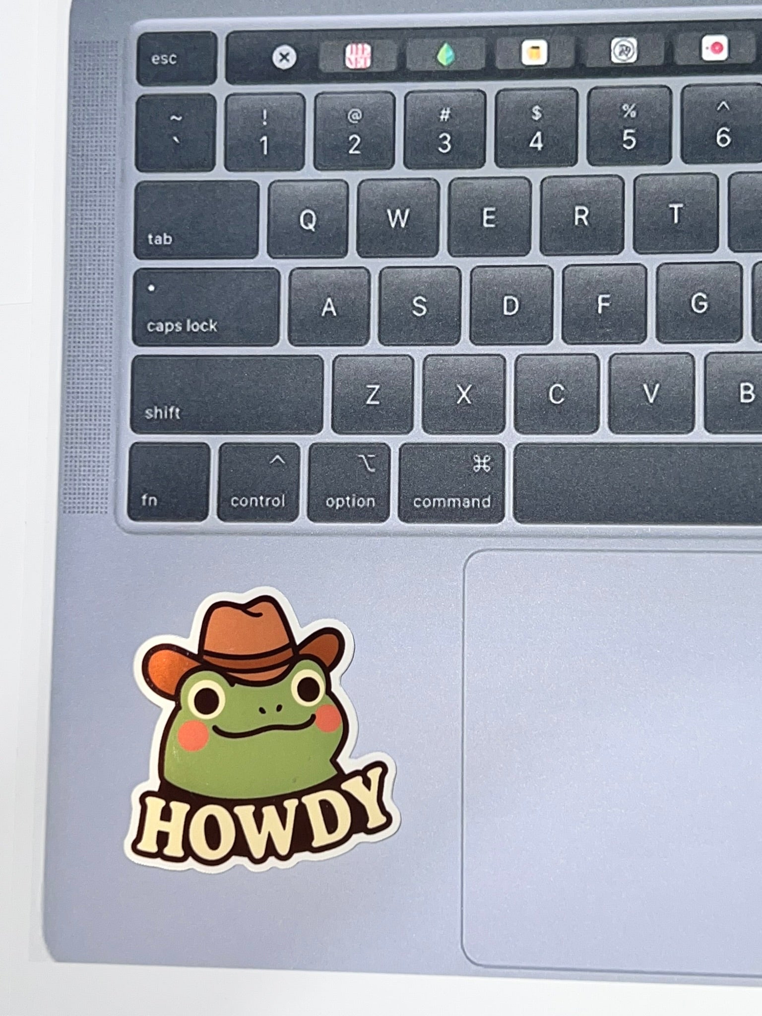 Frog Howdy | Cowboy | Glossy Vinyl Sticker