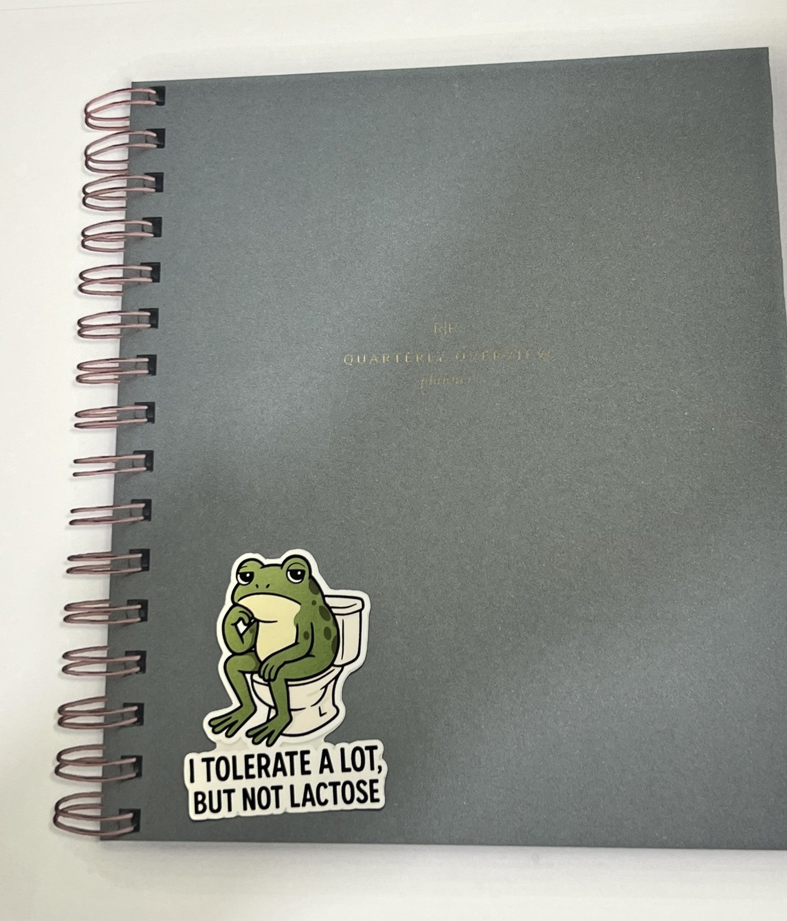 I Tolerate A Lot, But Not Lactose | Glossy Vinyl Sticker
