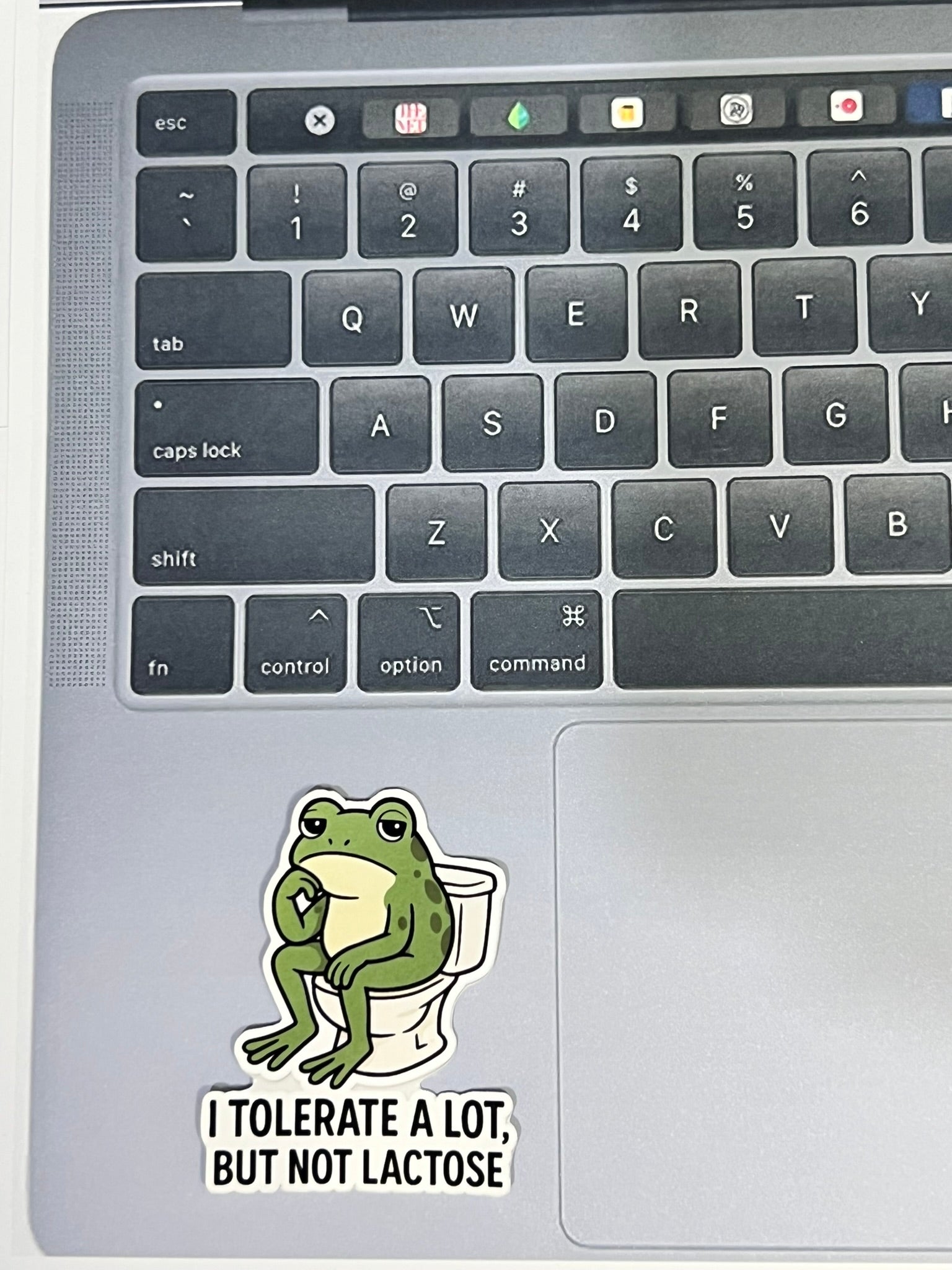 I Tolerate A Lot, But Not Lactose | Glossy Vinyl Sticker