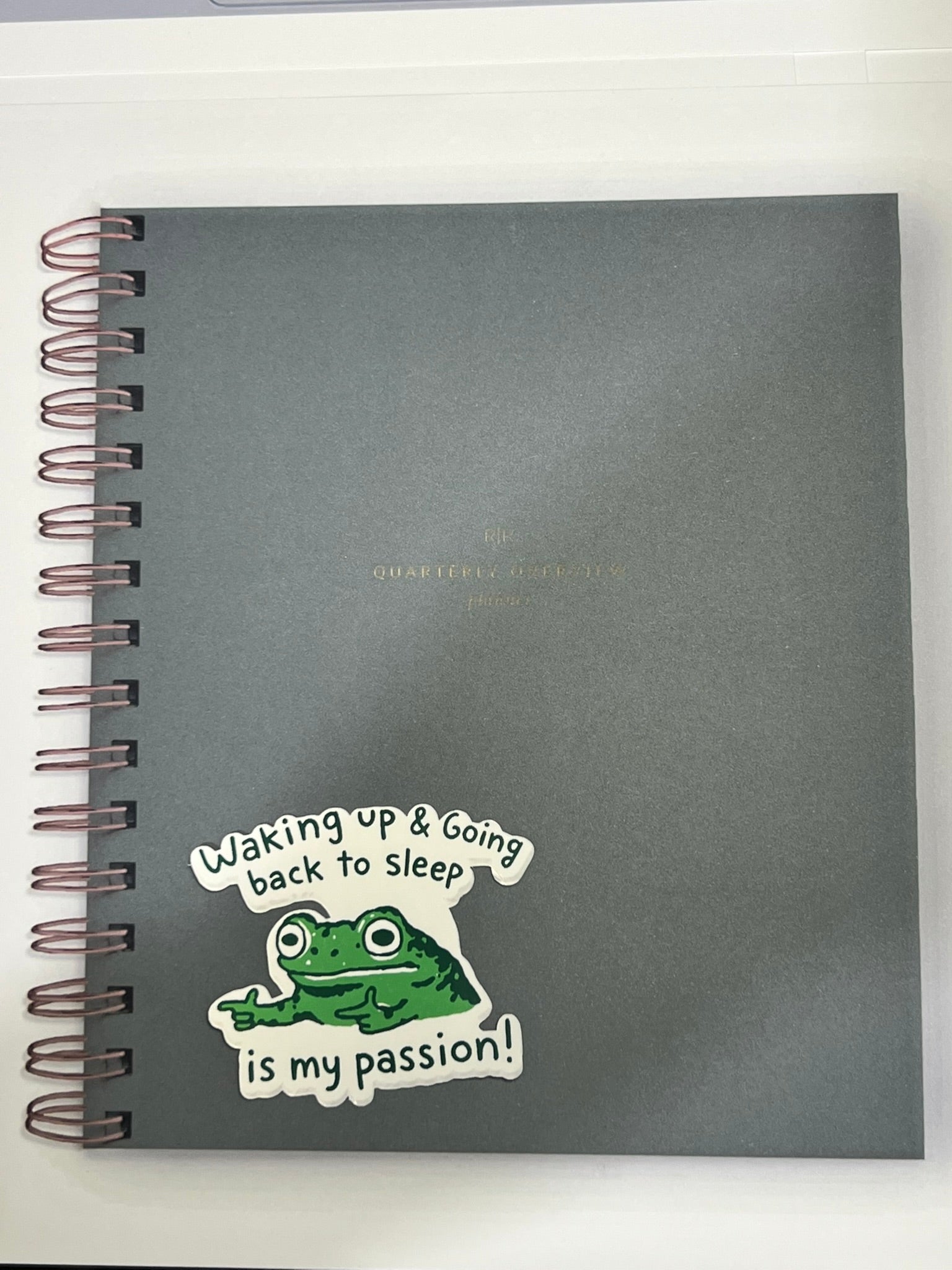 Waking Up and Going Back to Sleep Is My Passion Sticker – Funny Relatable Vinyl Sticker, Quirky Sleepy Quote Decal