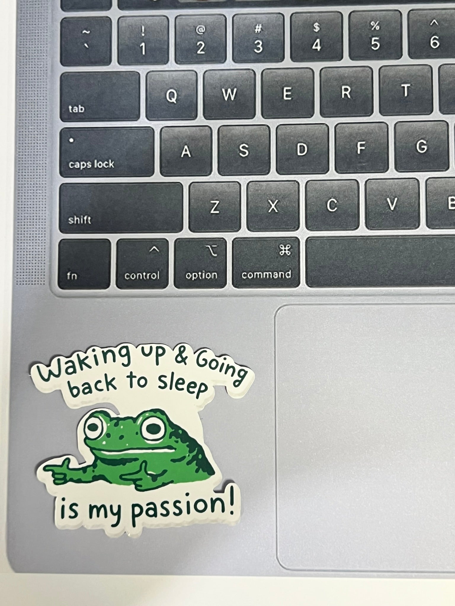 Waking Up and Going Back to Sleep Is My Passion Sticker – Funny Relatable Vinyl Sticker, Quirky Sleepy Quote Decal