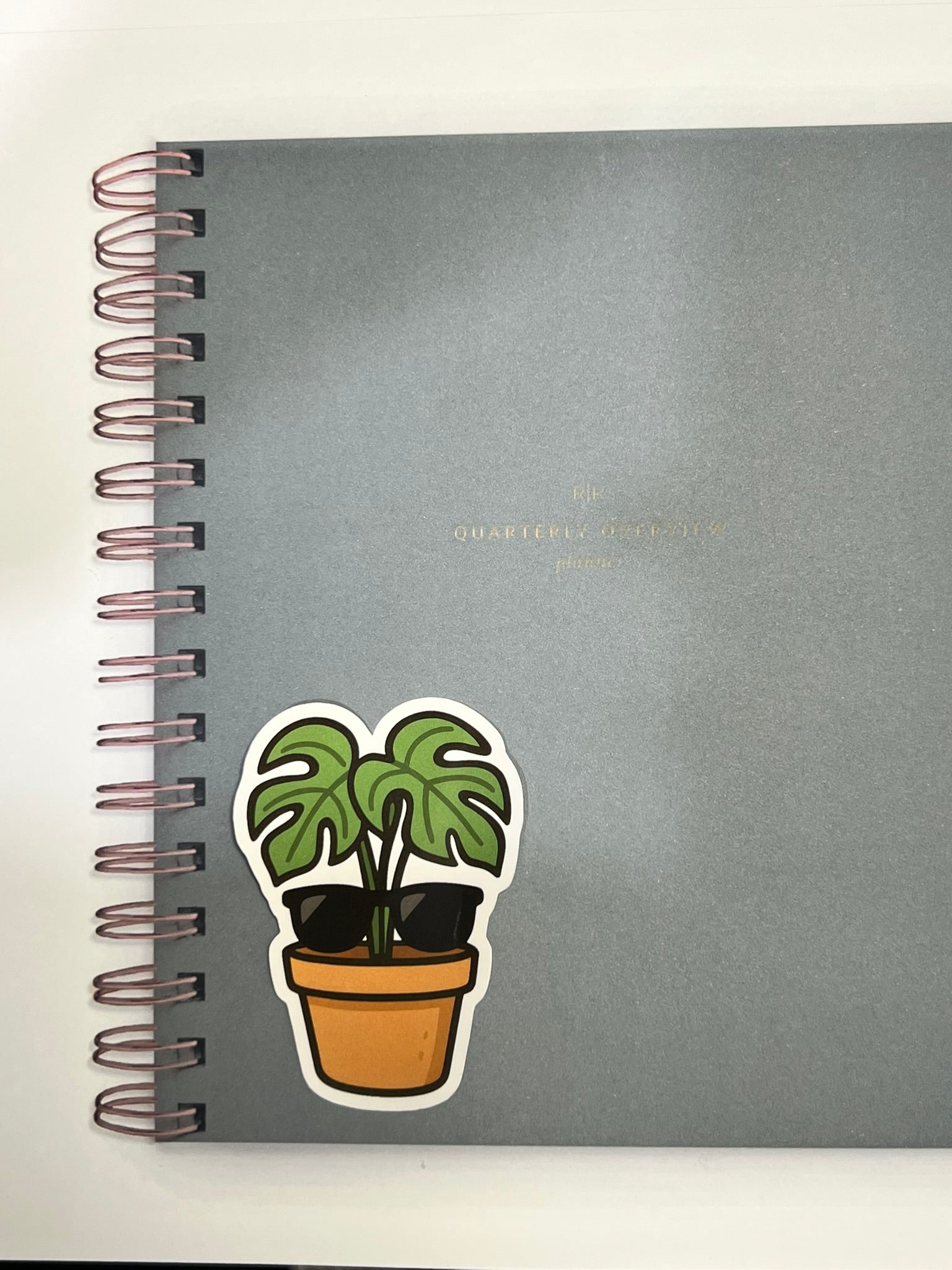 Plant With Glasses Sticker – Cute Nerdy Plant Vinyl Sticker for Plant Lovers