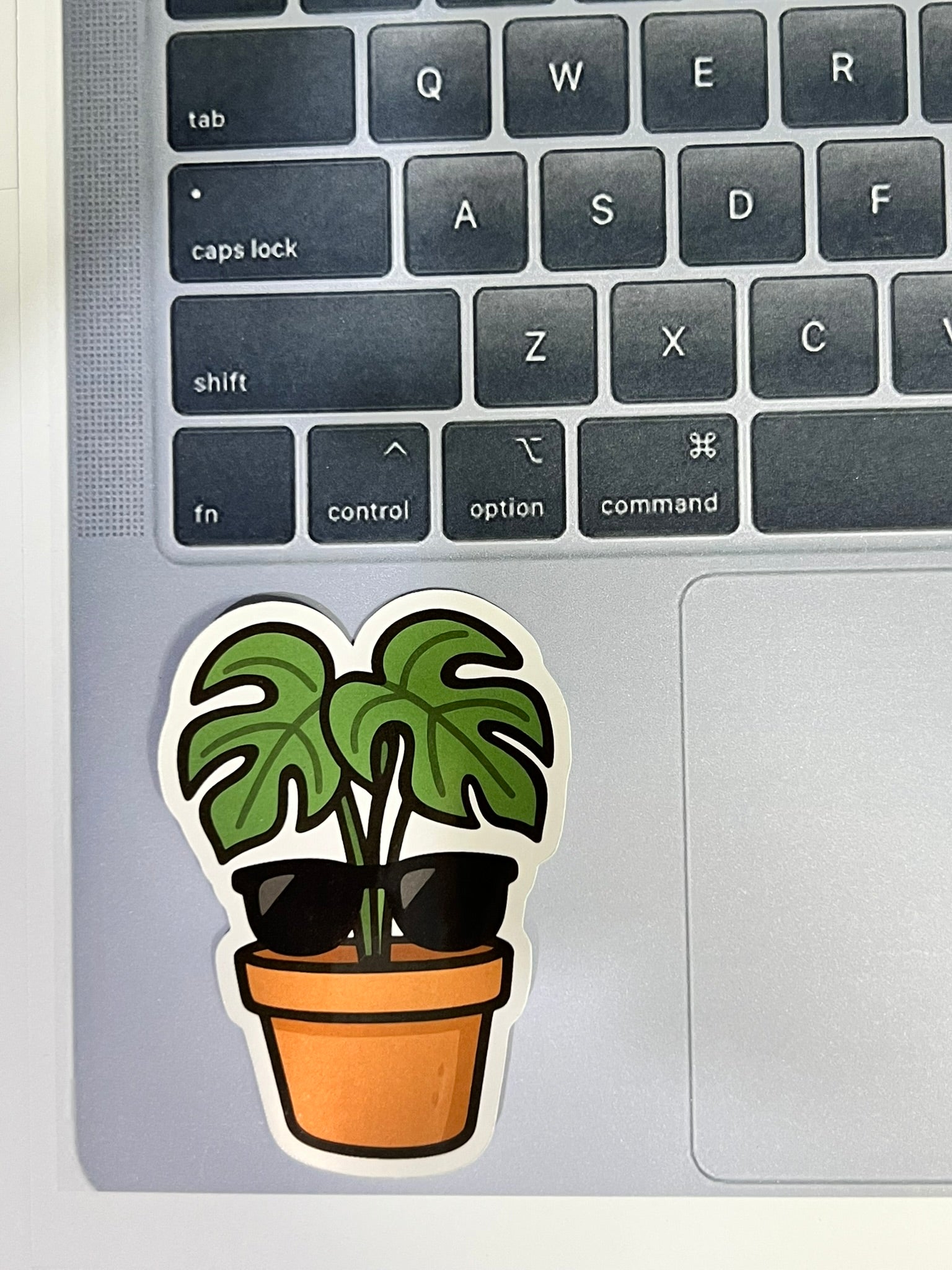 Plant With Glasses Sticker – Cute Nerdy Plant Vinyl Sticker for Plant Lovers