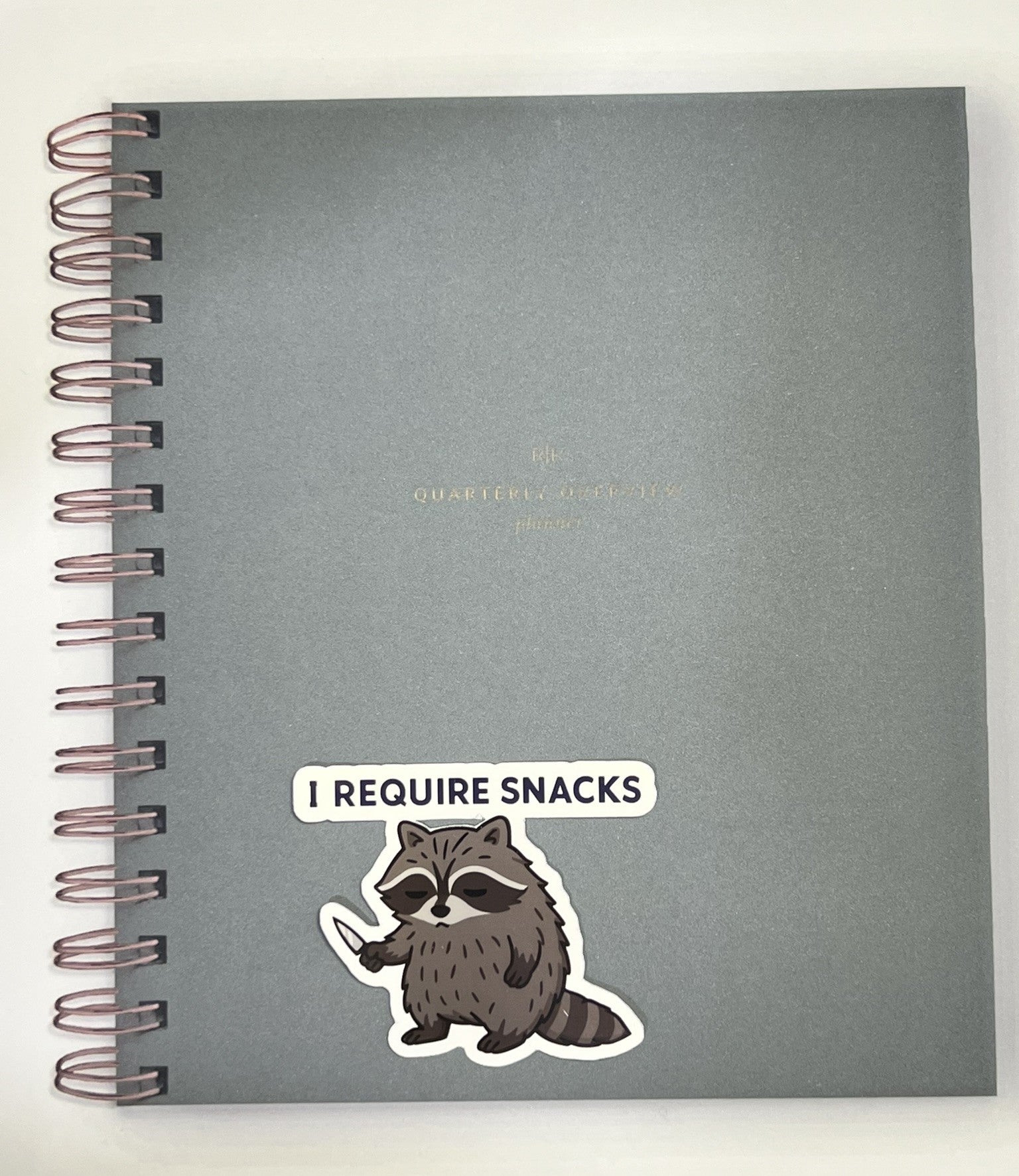 Raccoon With Knife I Require Snacks | Funny Animal Sticker