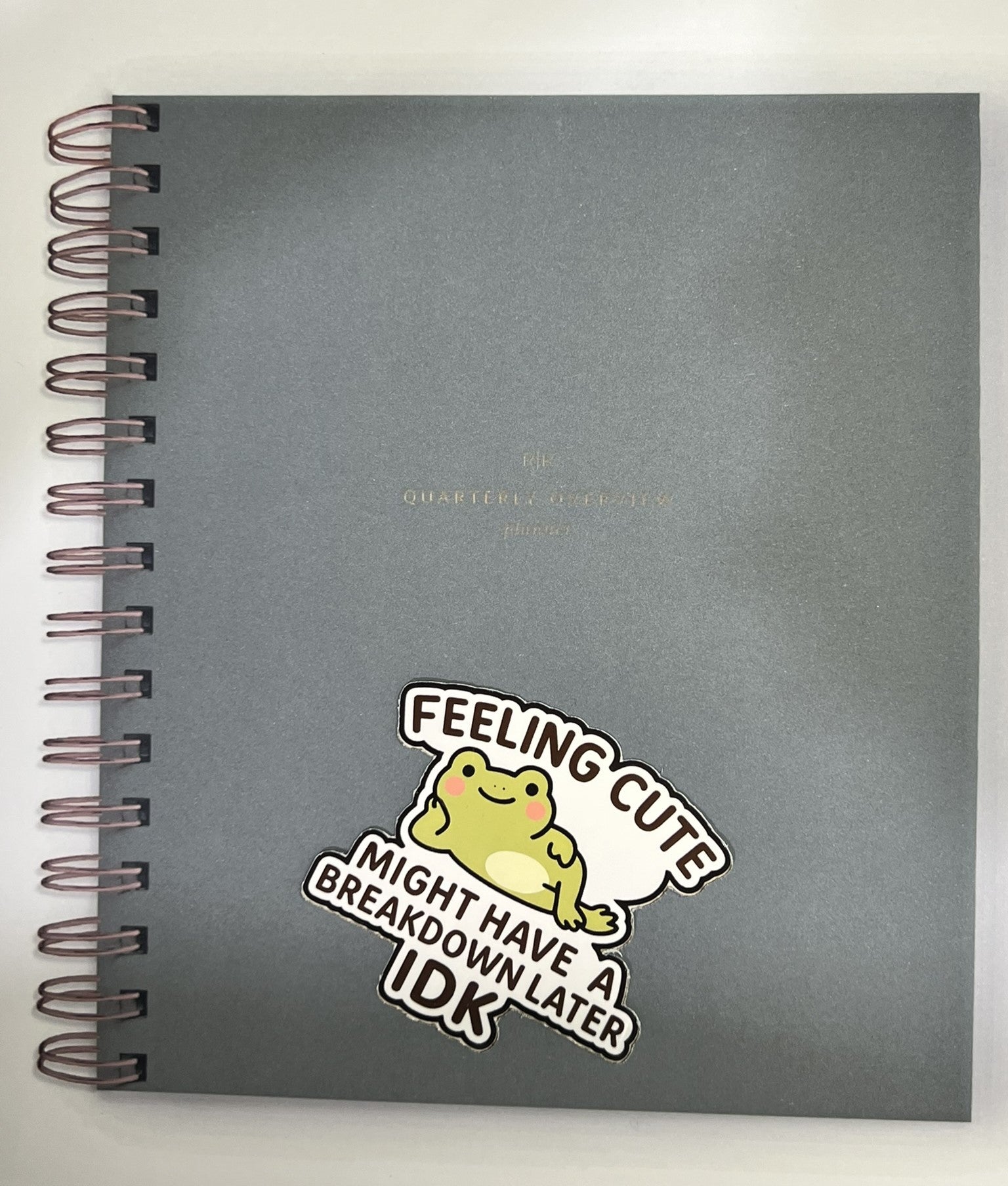 Feeling Cute Might Have a Breakdown Later | Glossy Vinyl Sticker