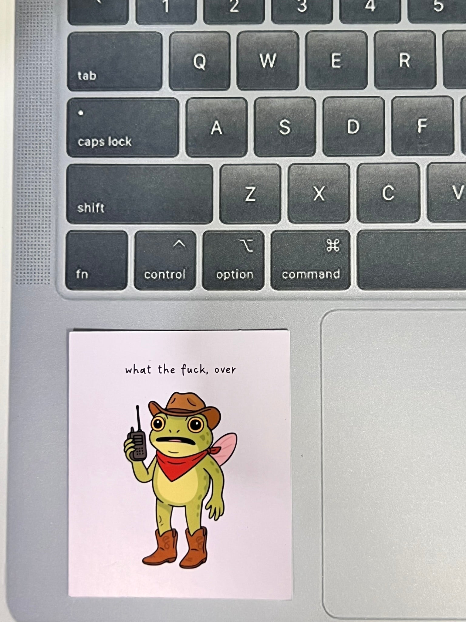 Frog With Walkie Talkie Sticker – “WTF: Over” Funny Frog Vinyl Sticker
