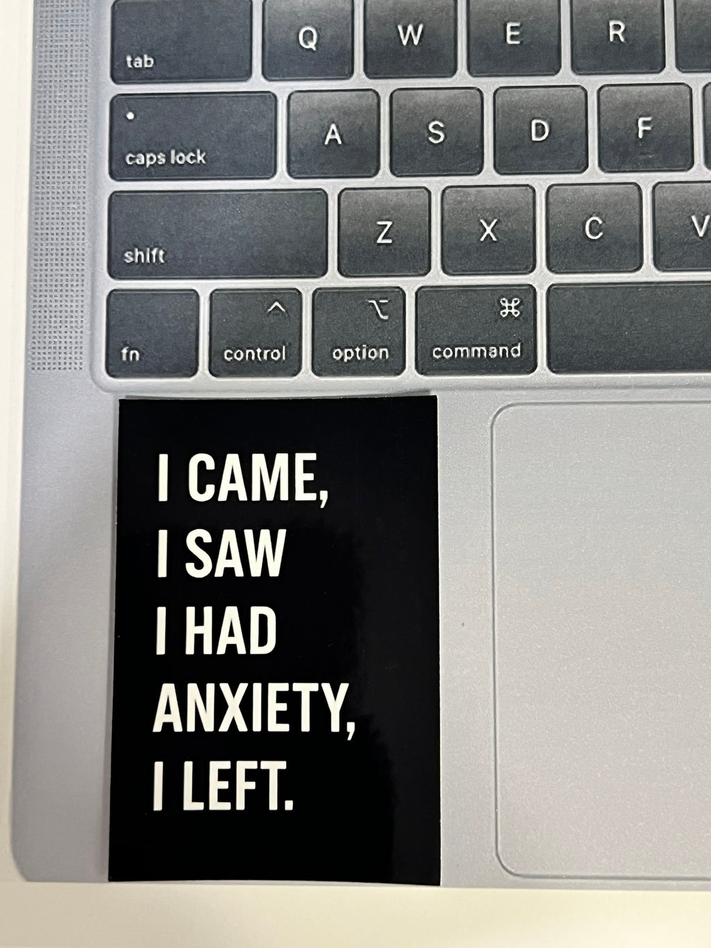 I Came, I Saw, I had anxiety, I left | Glossy Vinyl Sticker