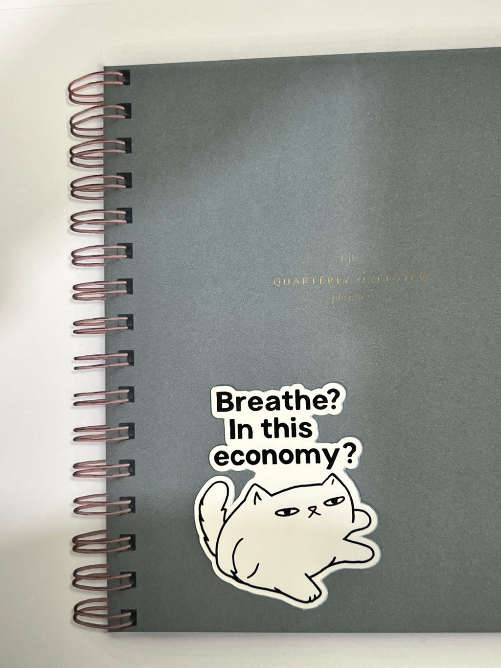 Breath? In This Economy? Cat Sticker – Funny Relatable Vinyl Sticker, Quirky Cat Lover Sticker, Water-Resistant Die Cut Decal