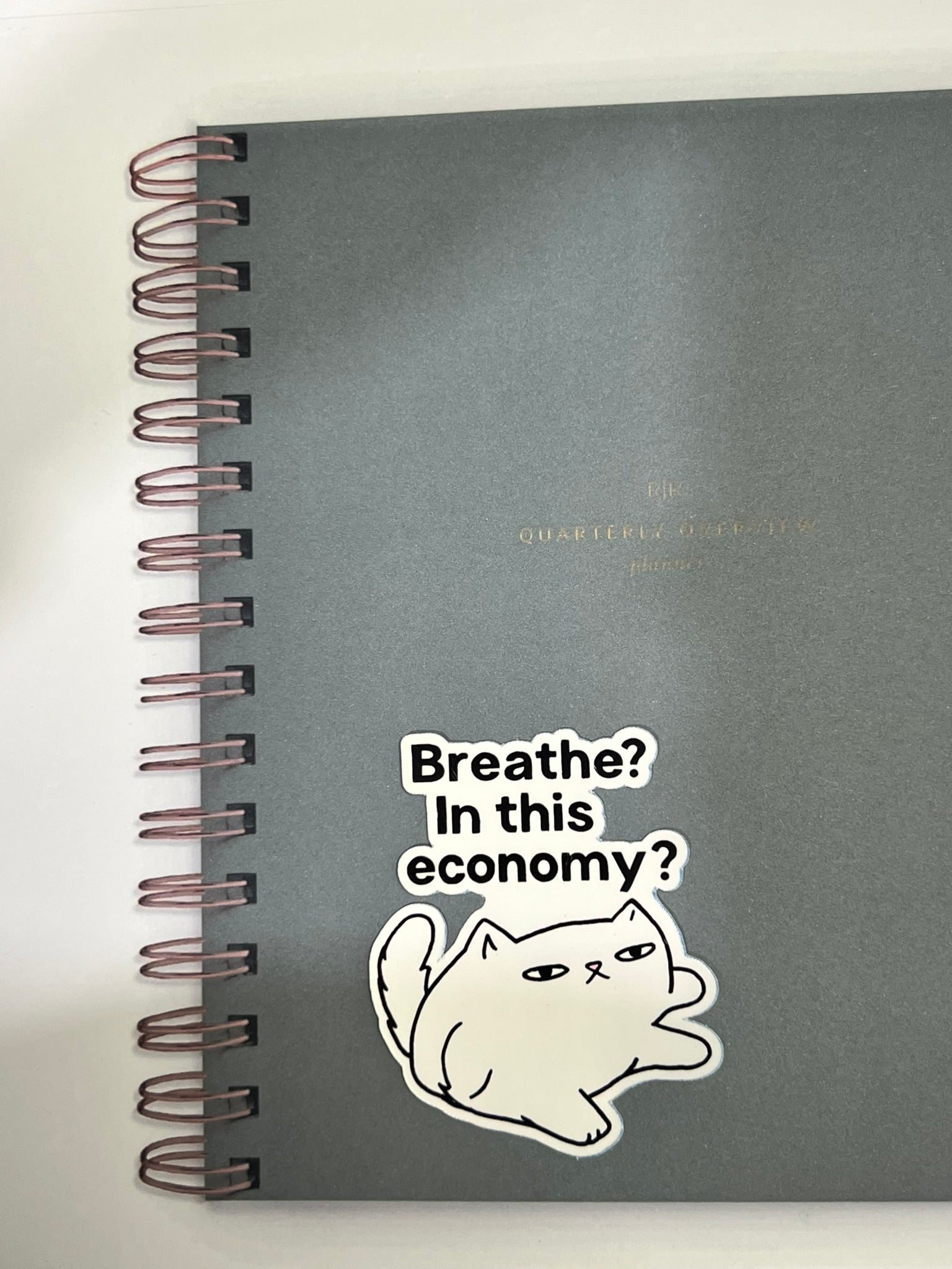 Breath? In This Economy? Cat Sticker – Funny Relatable Vinyl Sticker, Quirky Cat Lover Sticker, Water-Resistant Die Cut Decal