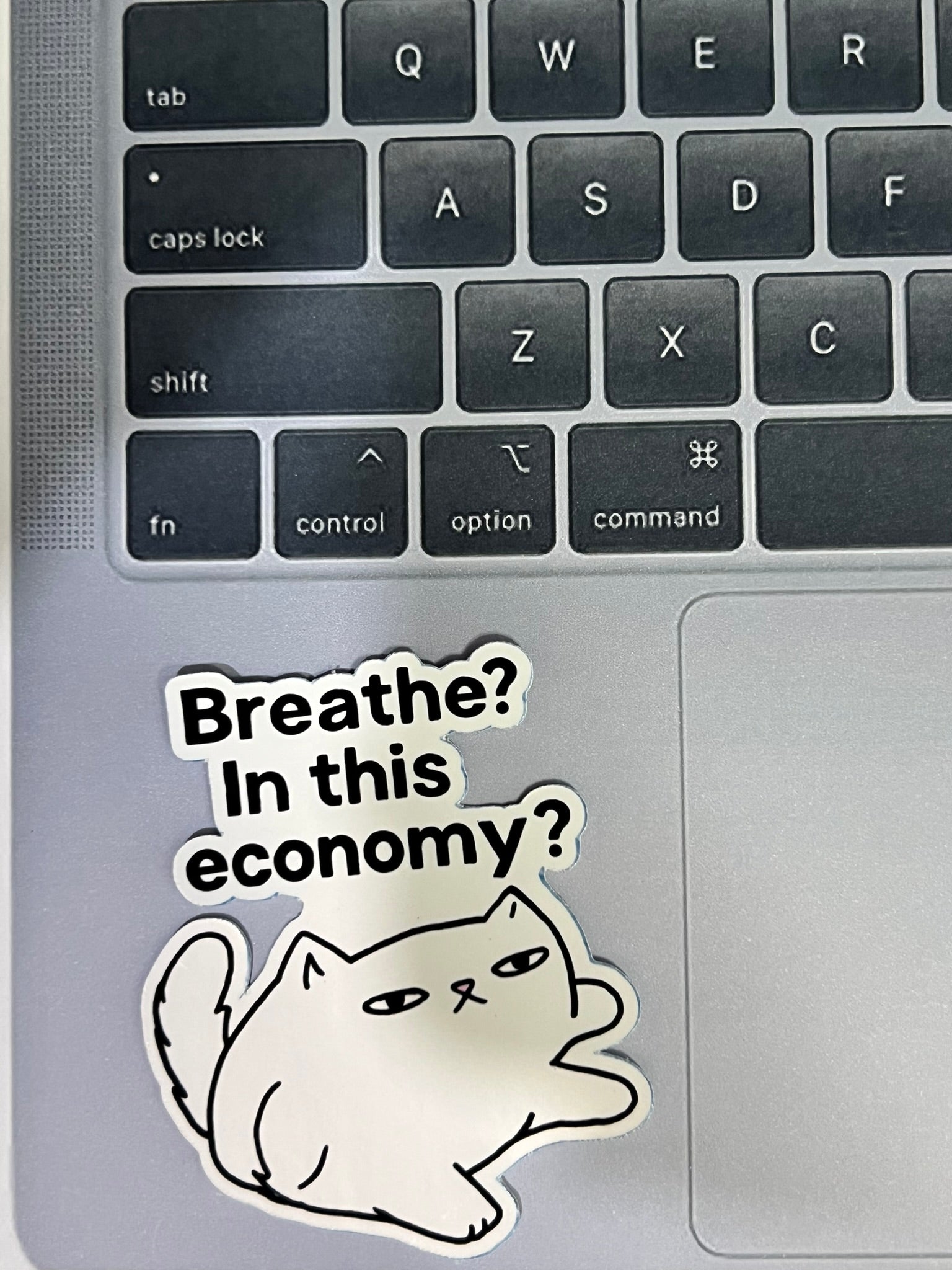 Breath? In This Economy? Cat Sticker – Funny Relatable Vinyl Sticker, Quirky Cat Lover Sticker, Water-Resistant Die Cut Decal