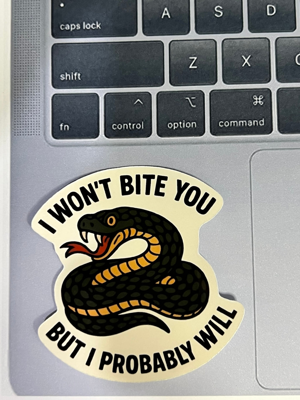 I Won’t Bite You But I Probably Will Snake Sticker – Funny Sassy Vinyl Sticker, Quirky Reptile Lover Die Cut Decal