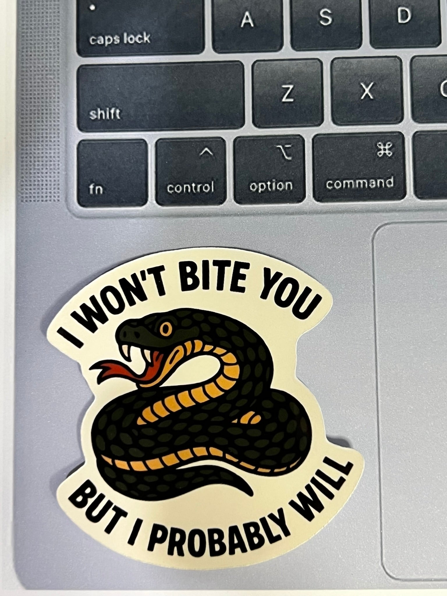 I Won’t Bite You But I Probably Will Snake Sticker – Funny Sassy Vinyl Sticker, Quirky Reptile Lover Die Cut Decal