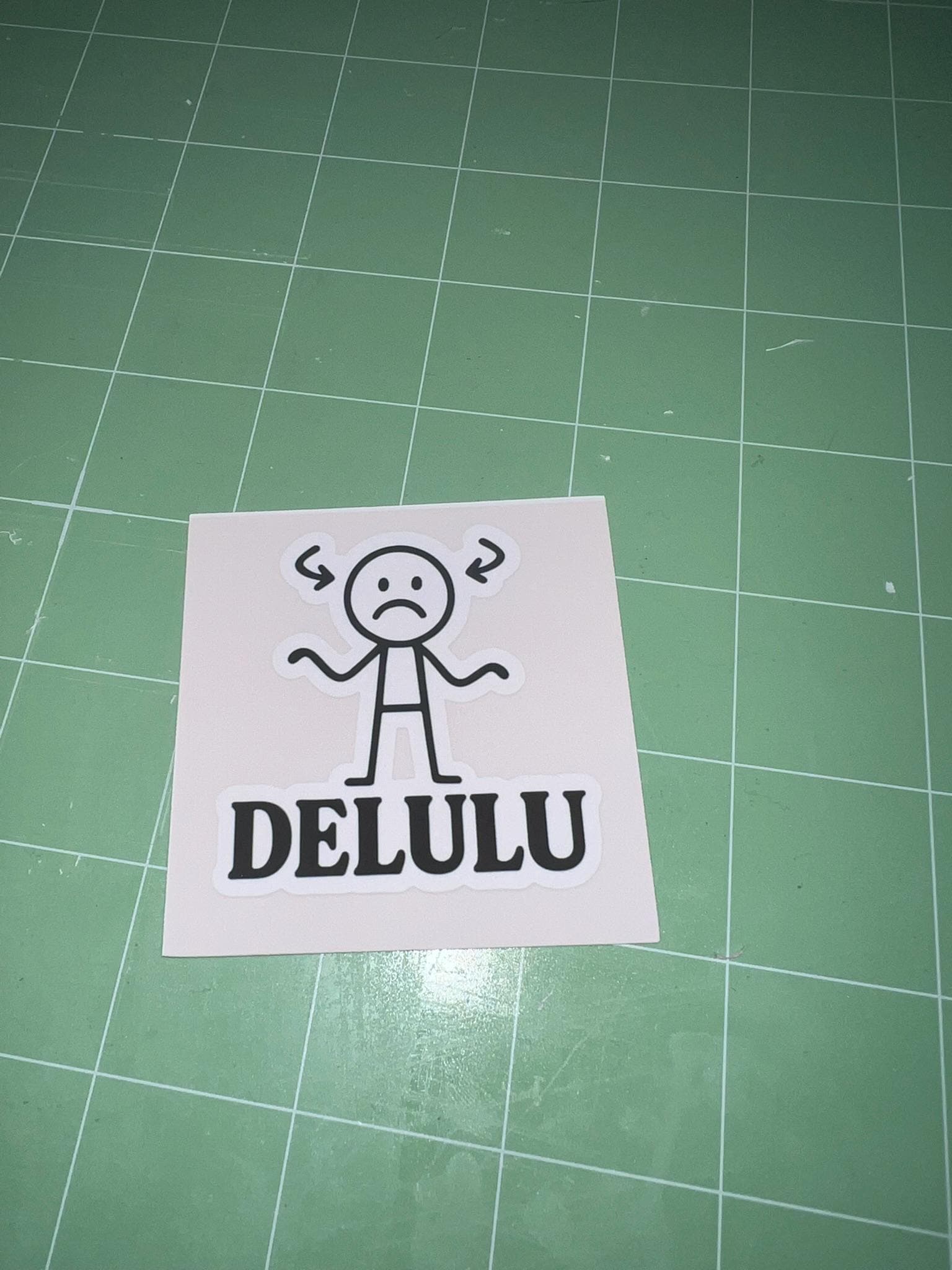 Delulu | Funny Gen Z Slang Vinyl Sticker