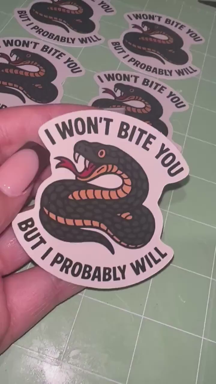I Won’t Bite You But I Probably Will Snake Sticker – Funny Sassy Vinyl Sticker, Quirky Reptile Lover Die Cut Decal