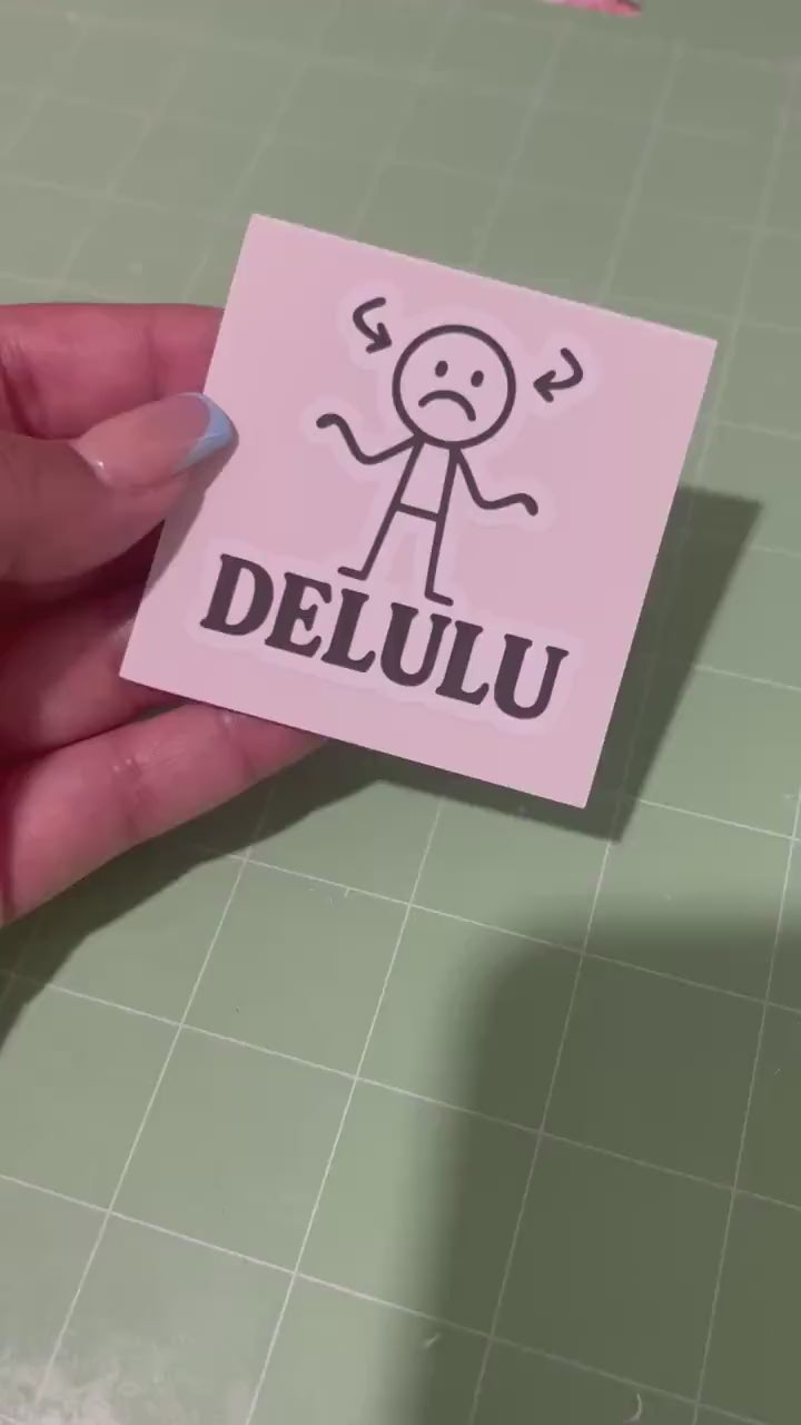 Delulu | Funny Gen Z Slang Vinyl Sticker